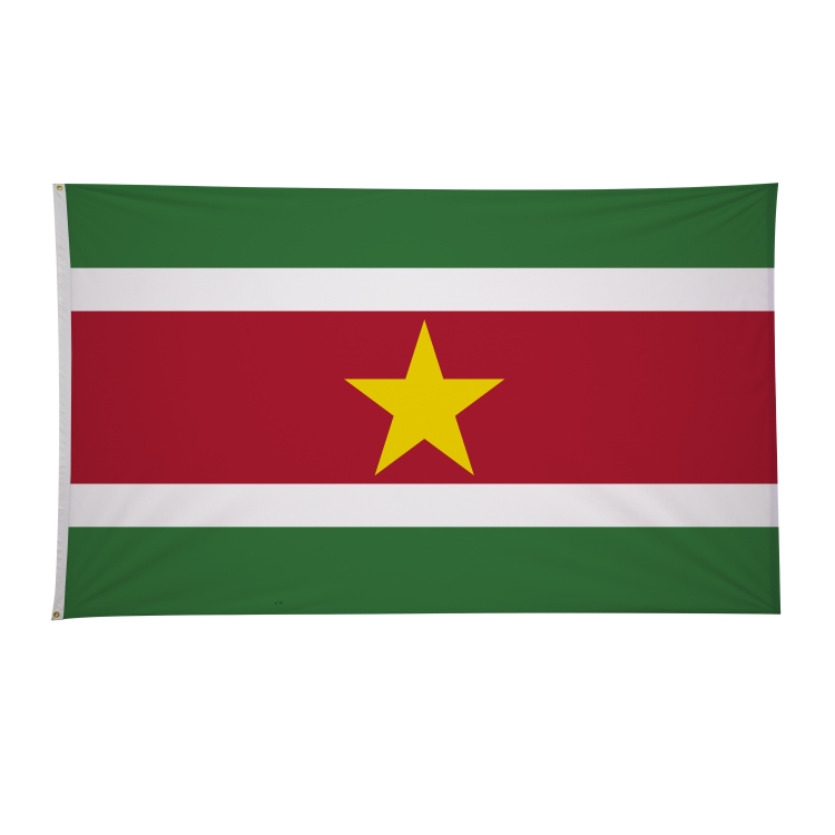 6' x 10' International Flags 79