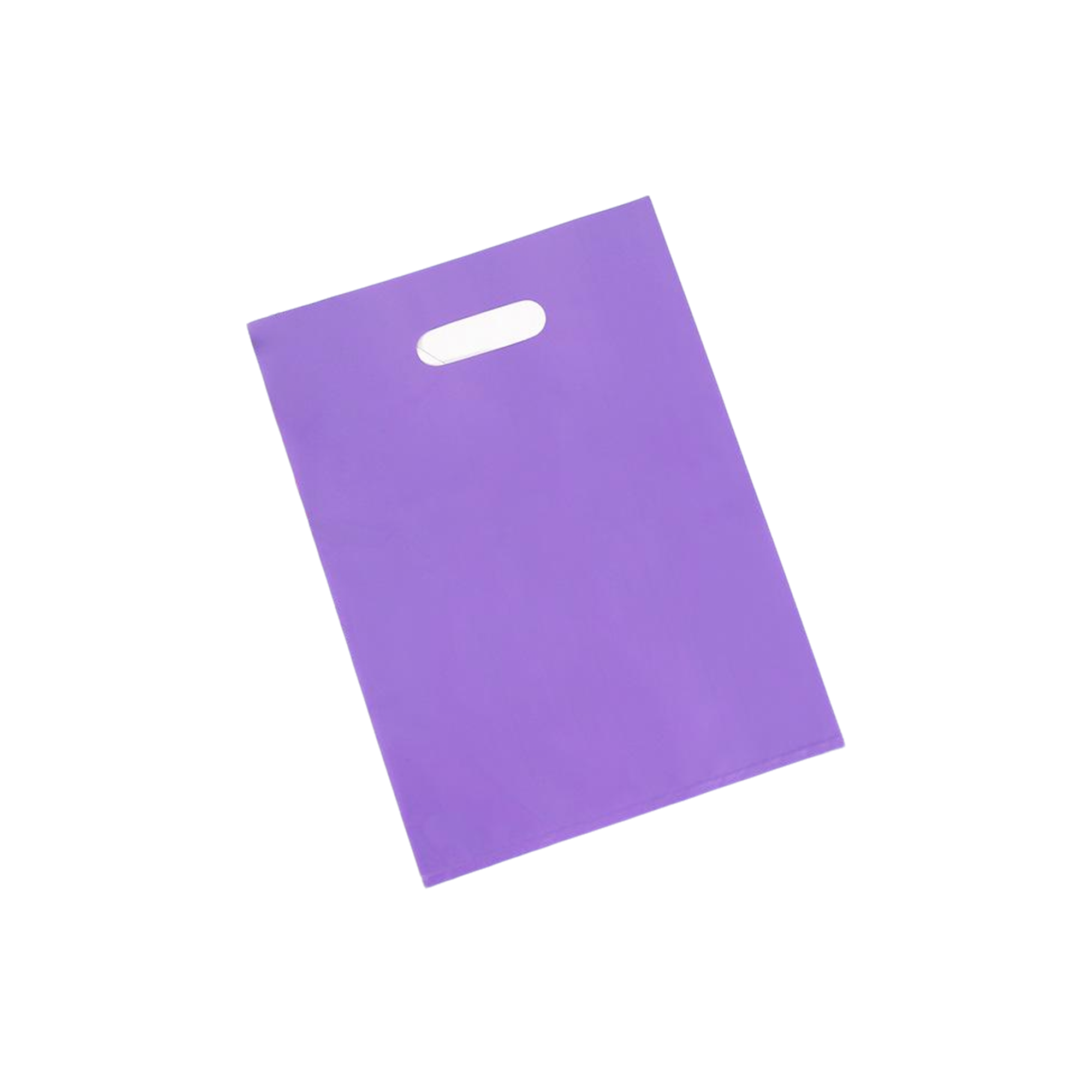 Reinforced Die Cut Handle Promotional Carry Bag 9
