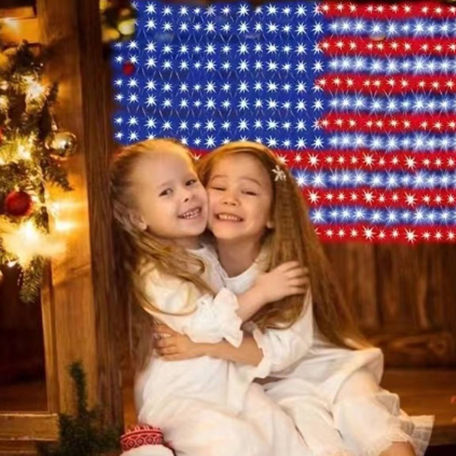 American Flag LED Net Light 6
