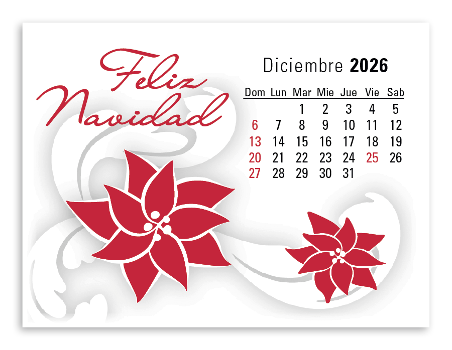 Triumph® Calendars Press-N-Stick Spanish Calendar 21