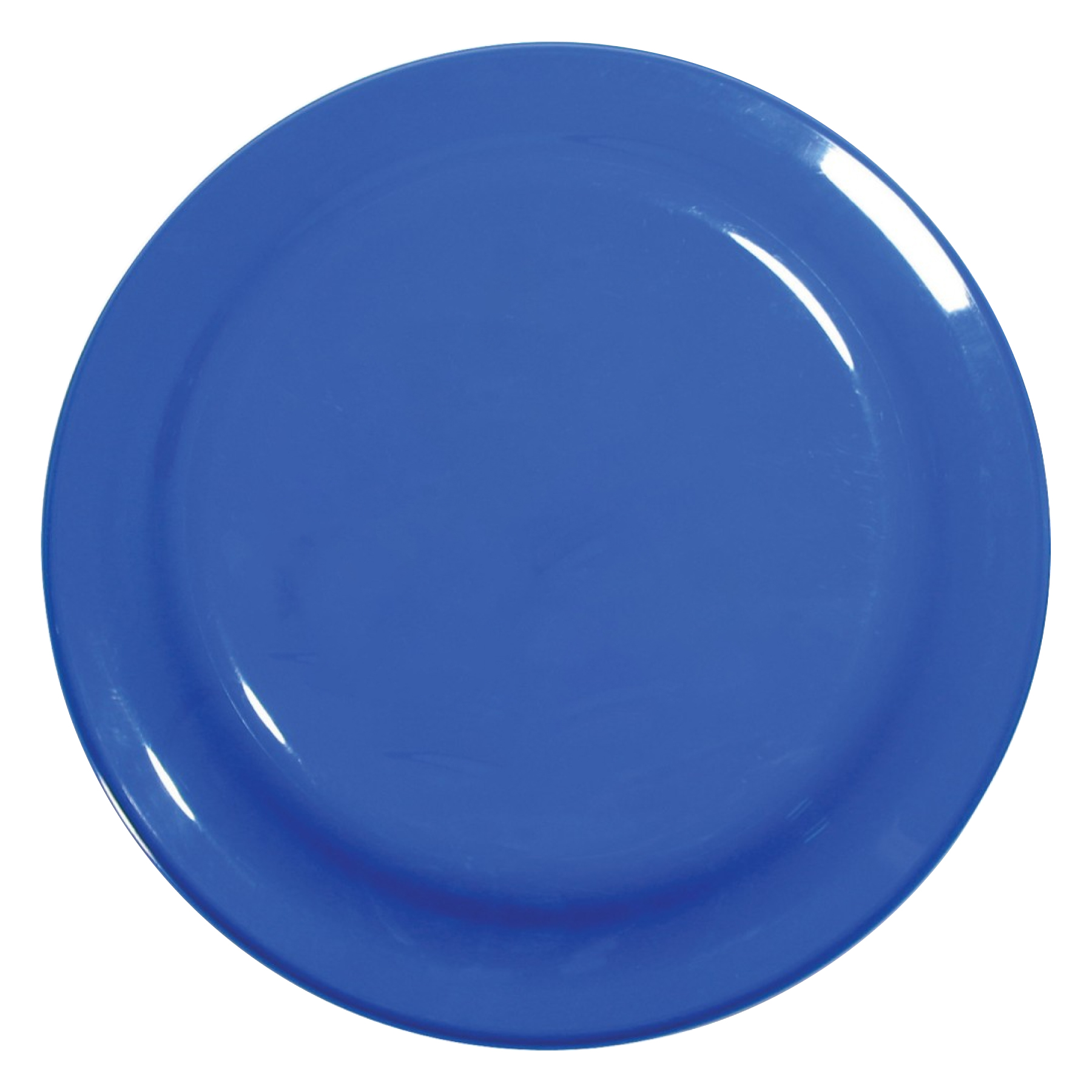 9 25" Flying Disc Plate