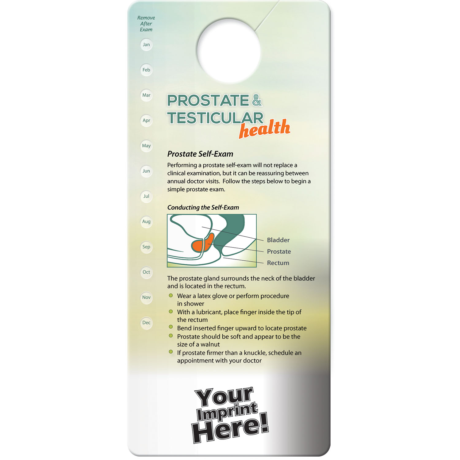 Hang Tag - Prostate & Testicular Self-Exam 3
