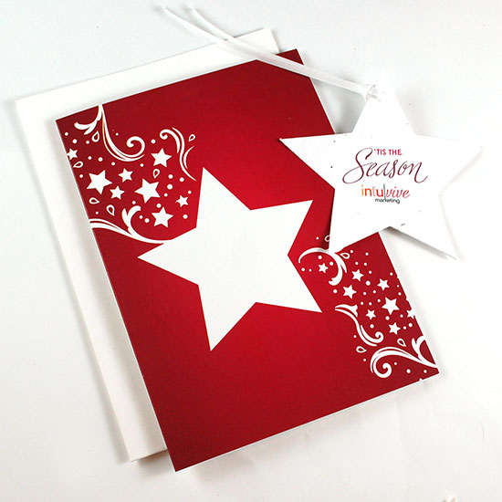 Seasonal Star Ornament Business Holiday Cards 8