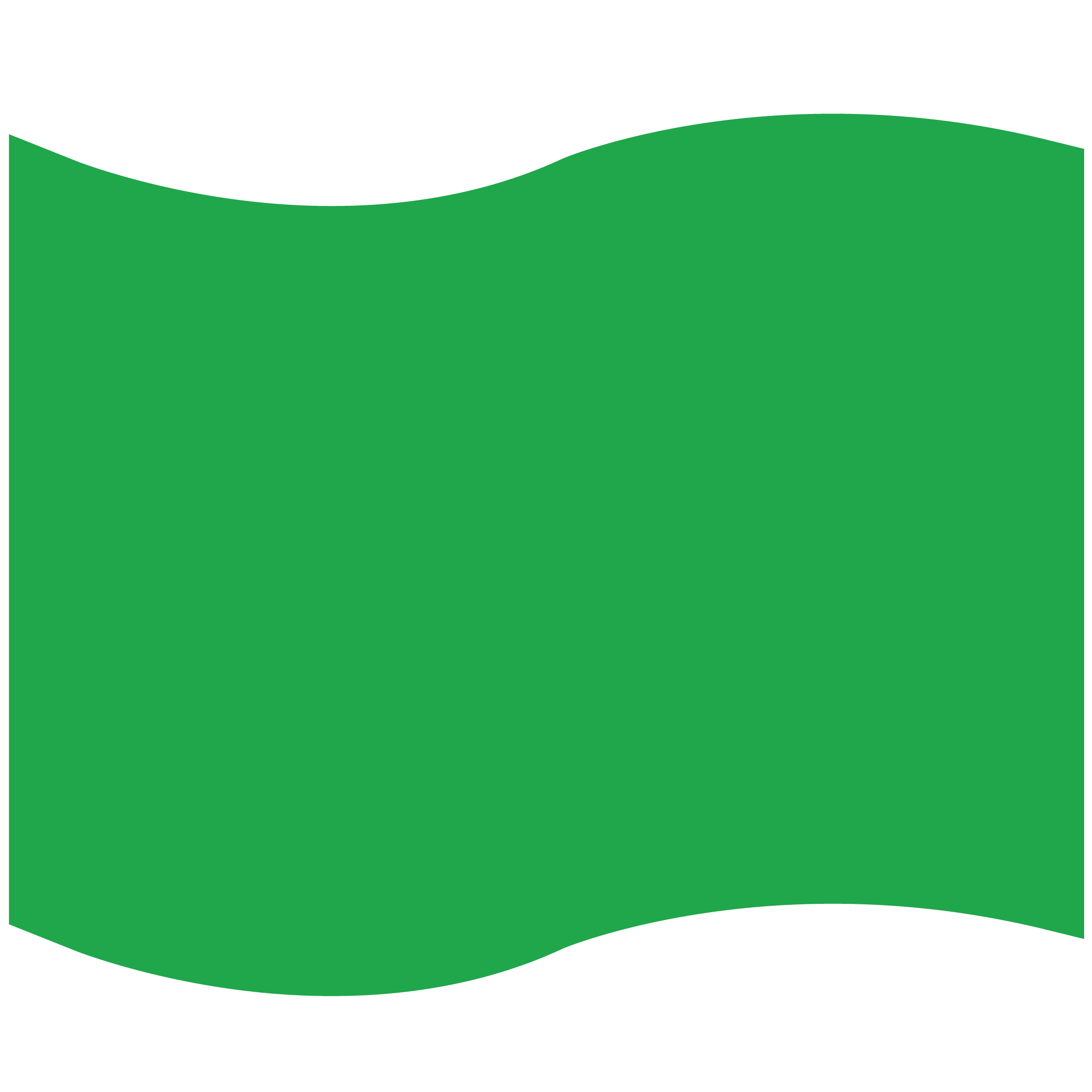 Foam Flag Mitt 27