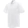 Men's COLTER Short Sleeve Shirt 182