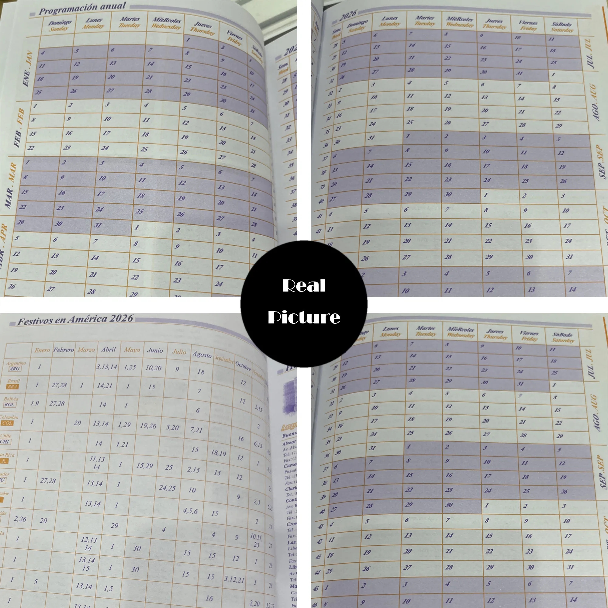 Soft Cover 2026 Spanish Productivity Planner 6