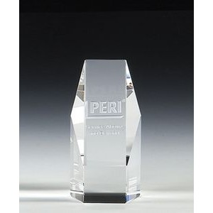 6" OptiMaxx Hexagon Award 1
