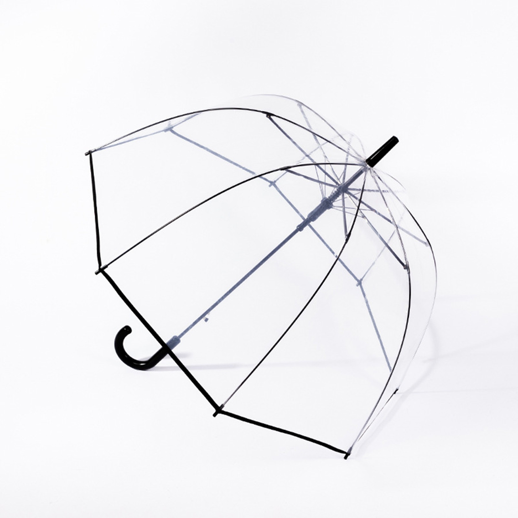 Clear Umbrella 2