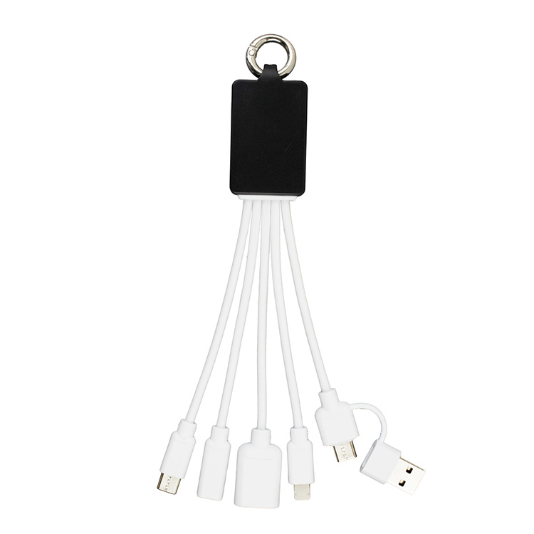 "FUSION" Charging Cable With 2 Port USB Hub 9