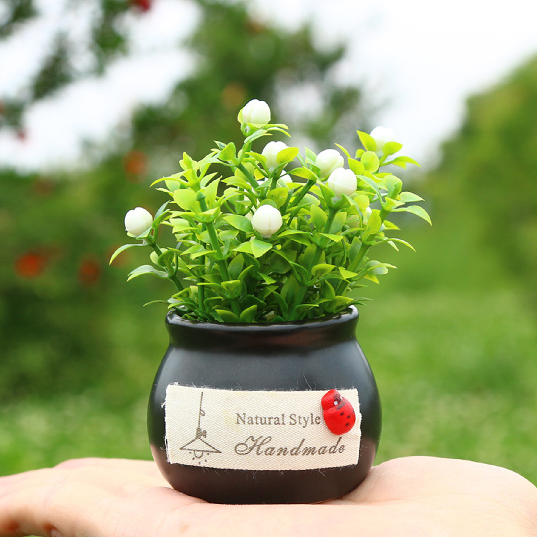 Car Potted Pant Ornaments 2