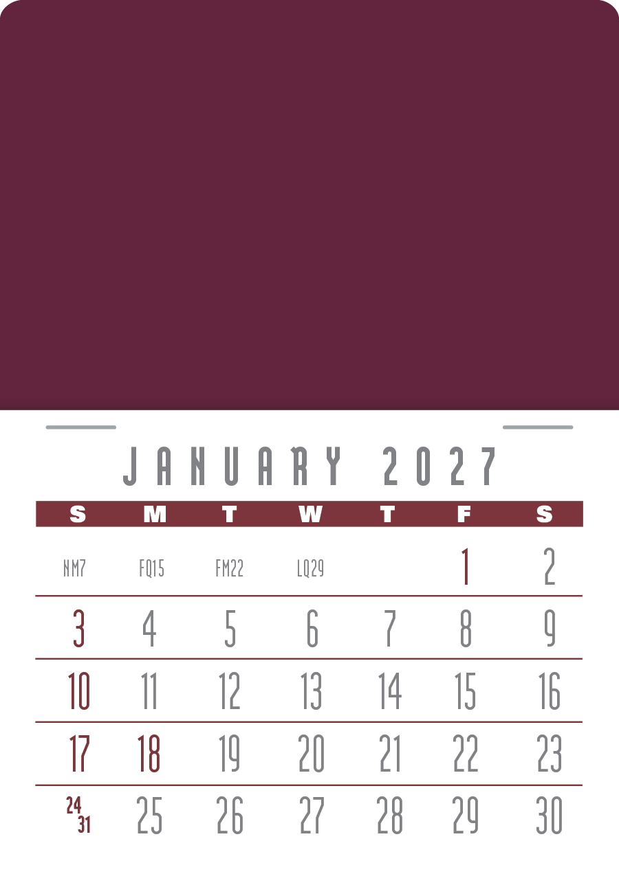 Triumph® Calendars Press-N-Stick Contemporary Calendar 12