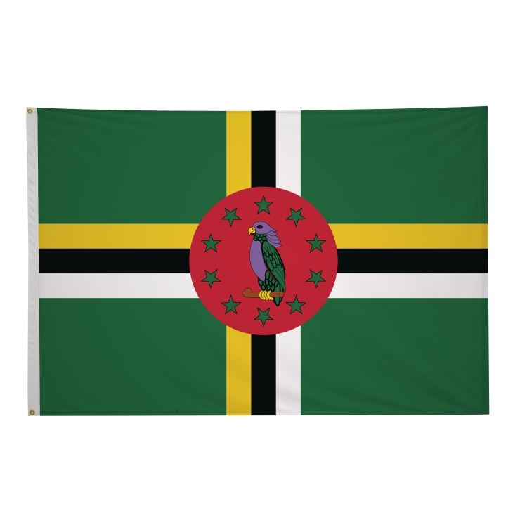 4' x 6' International Flags 143