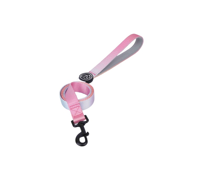 Pet Leash with Padded Neoprene Handle-Small 3