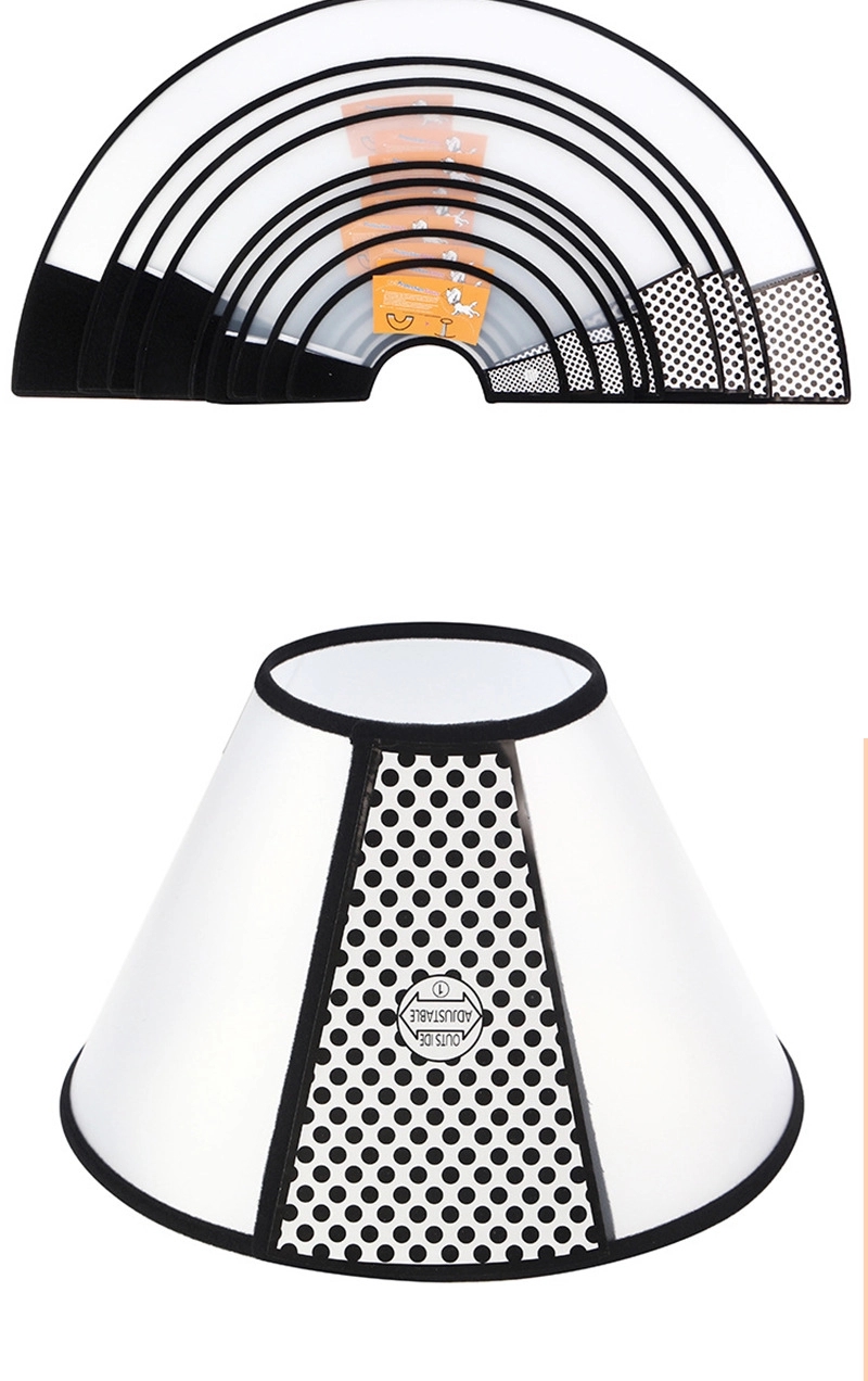 Dog Cone 2