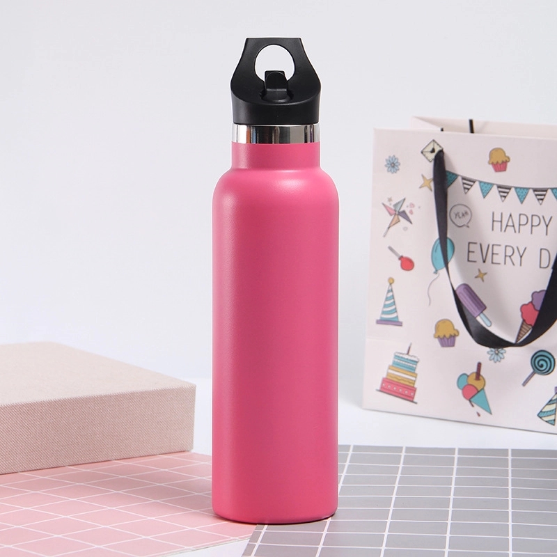 20 oz Stainless Steel Water Bottle w/Straw Lid 13