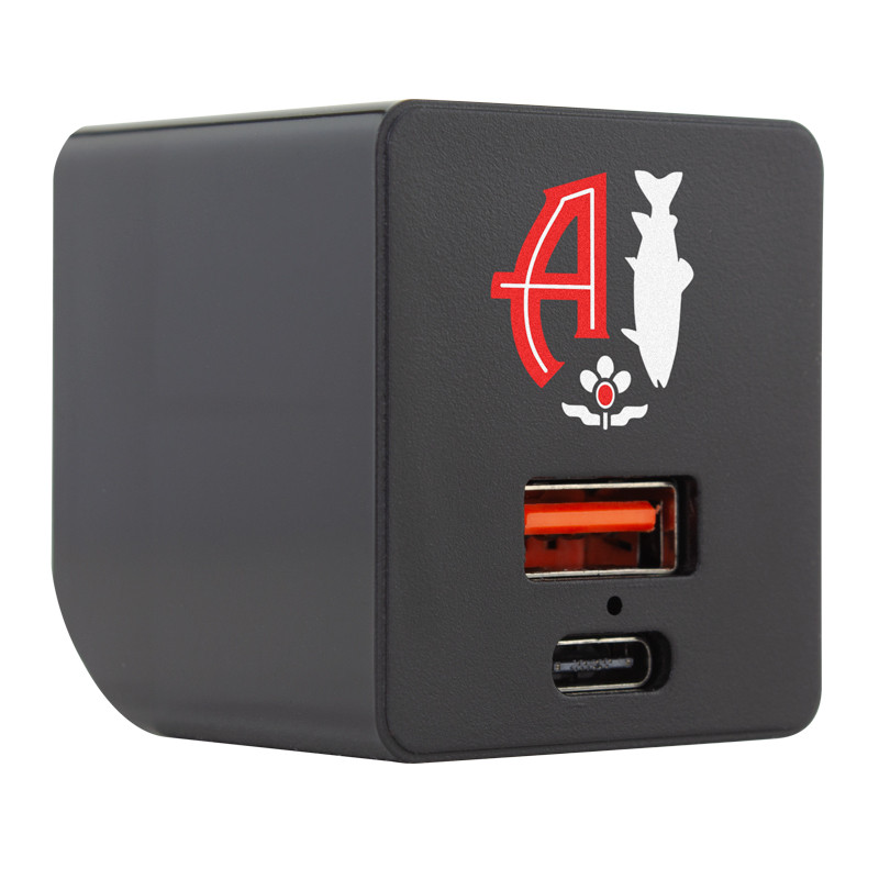 Wall Charger with Type-C 2
