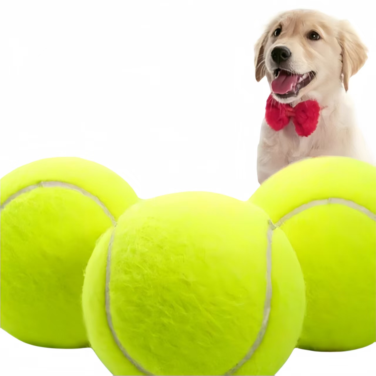 Tennis Ball Dog Toy 4