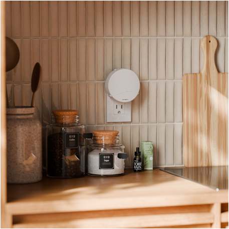 Vitruvi Plug-In Wall Diffuser + 1 Oil Bundle 94