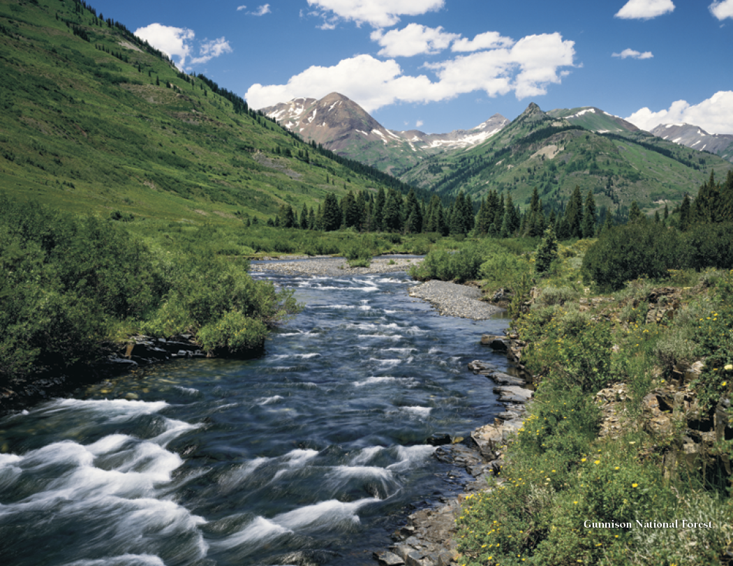 HotLine® Products Colorado Collection 26