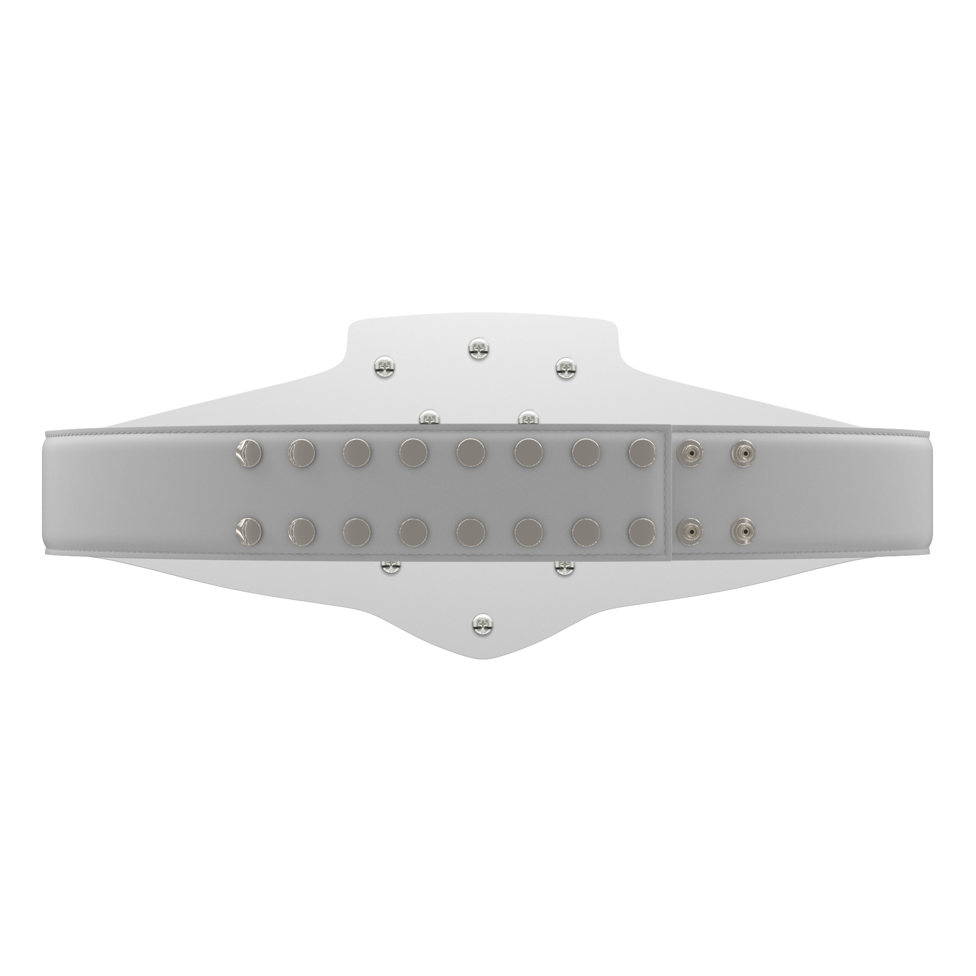 Express Vibraprint® Bright Silver Champion Award Shield Belt 13