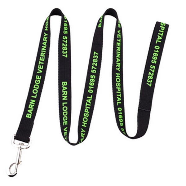 Polyester Dog Leash 1