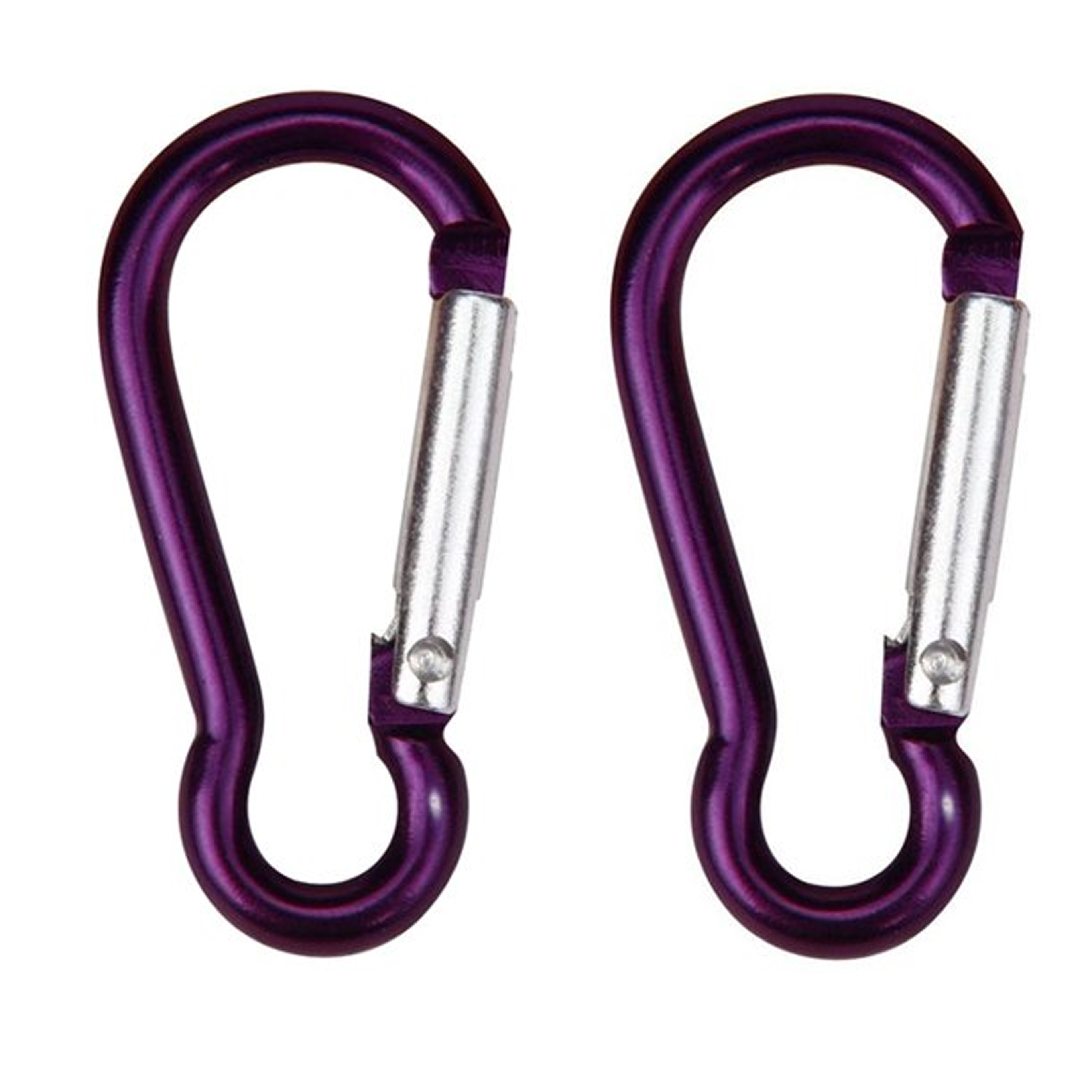 Refined Carabiner Clip Keychain 1