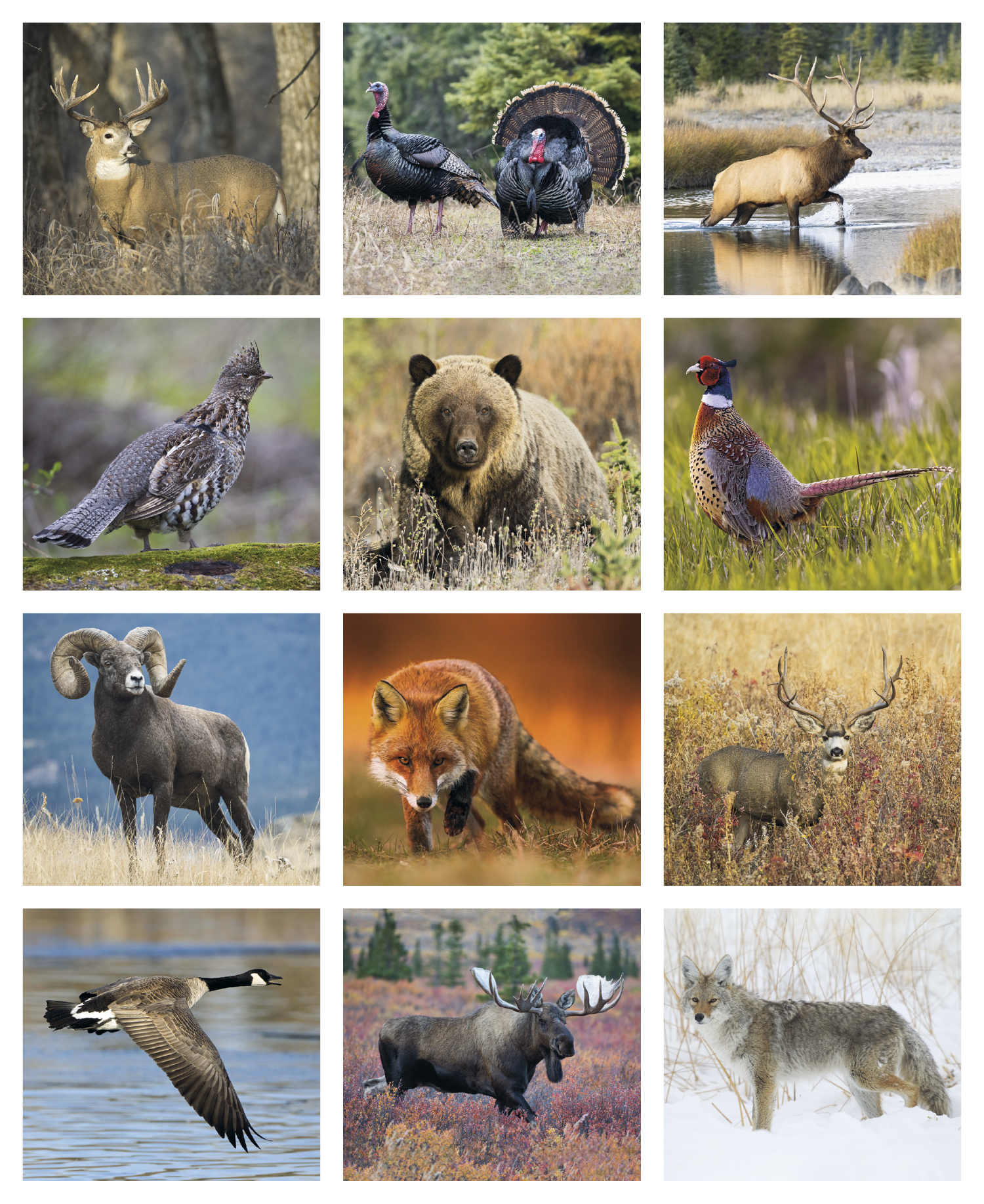 Triumph® Calendars Sportsman Calendar 25