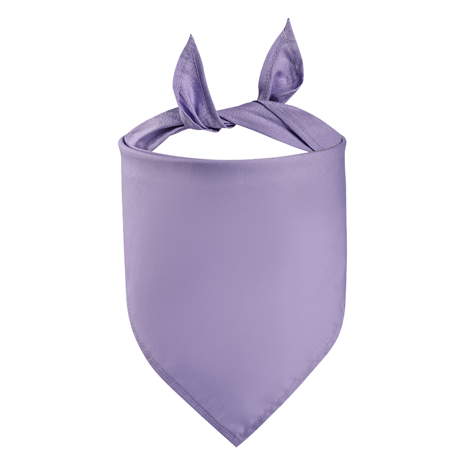 Pet Bandanna 6