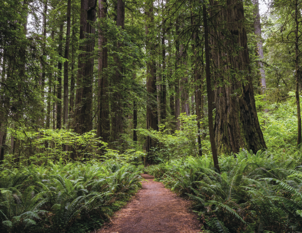 HotLine® Products California Appointment Calendar - Stapled 22