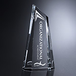 Enfield Award 3