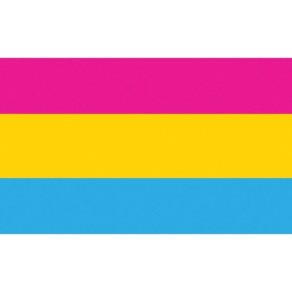 Pansexual Flag 2
