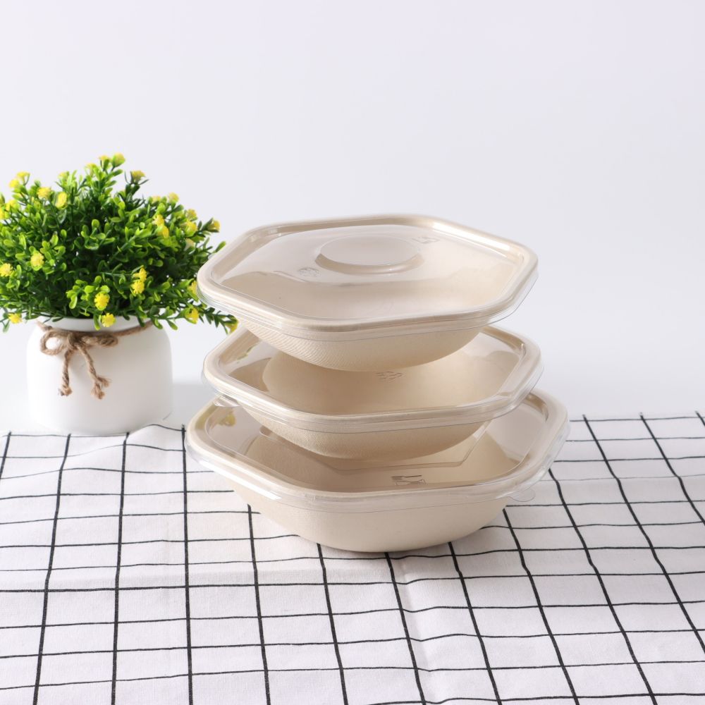 Disposable Biodegradable Six-sided Bowl 2