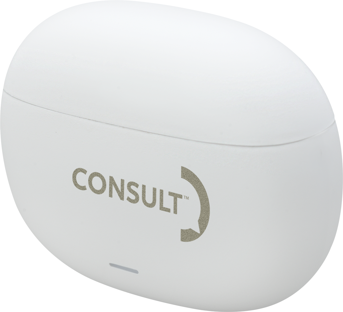 Boompods™ Noise Canceling Echobuds 17