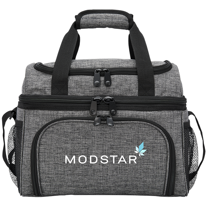 Parcel 24 Can Cooler Bag 9