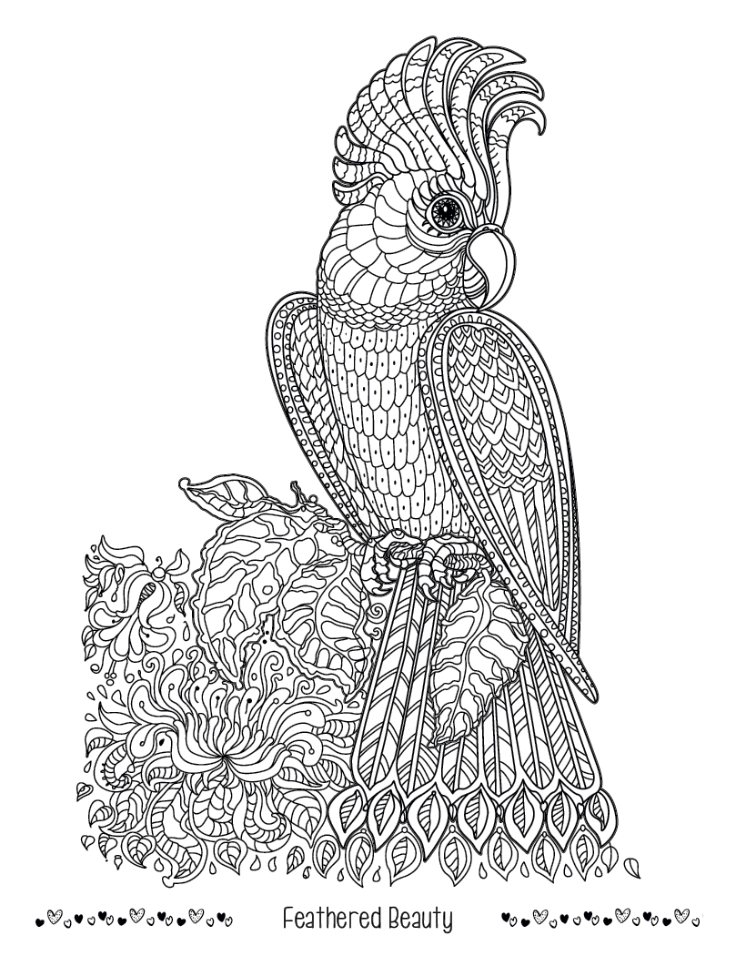 Good Value™ Unwind with Pets Adult Coloring Book 8