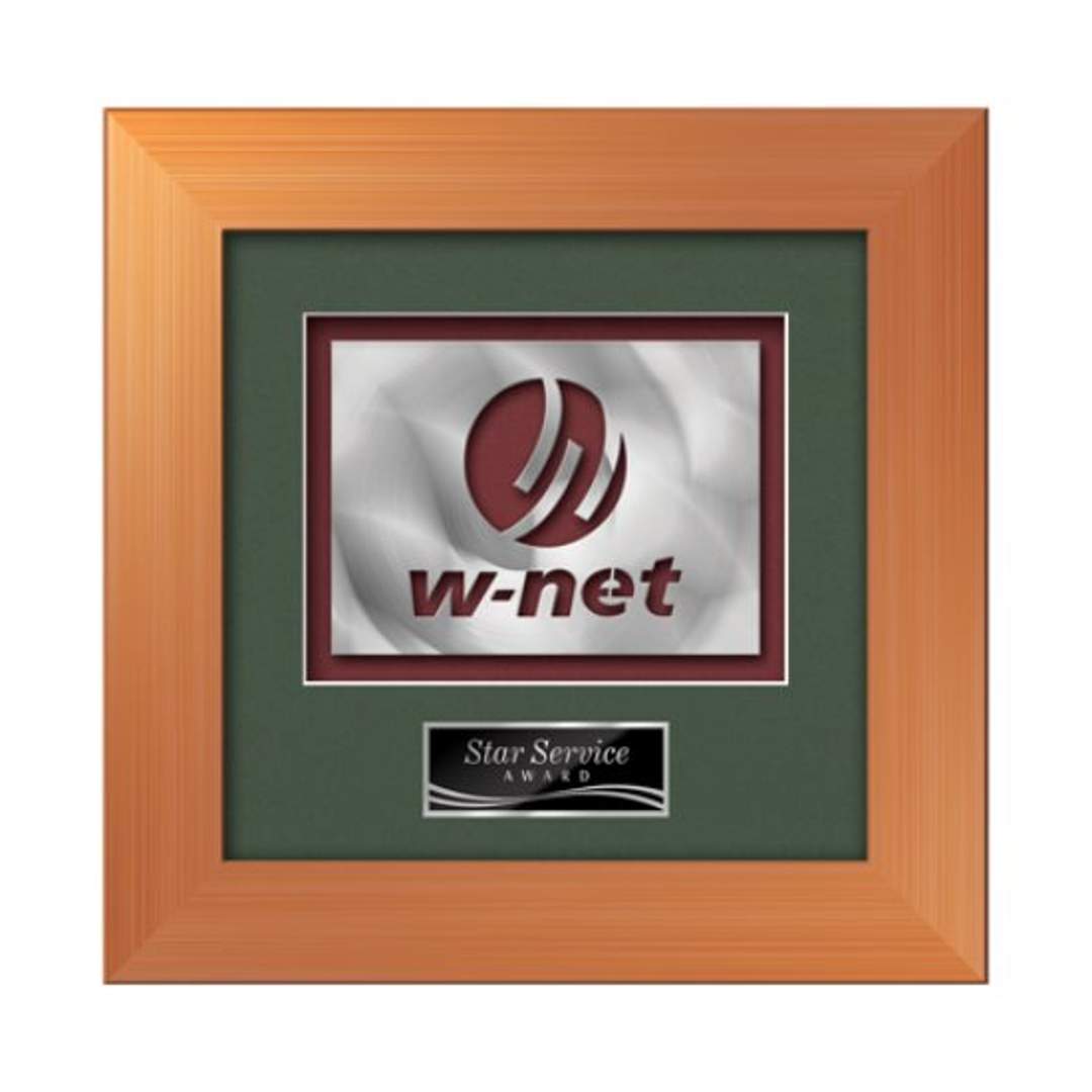 Premier Aquashape™ Award - Bronze