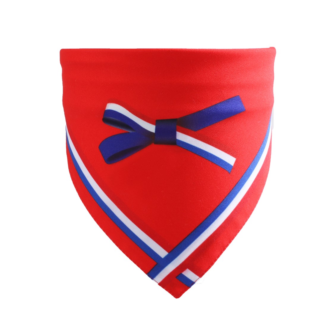 Fashion Pet Scarf Bandana 8