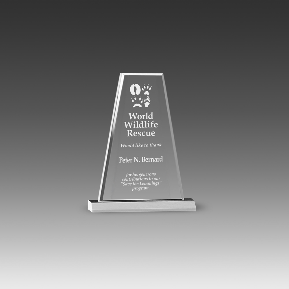 Premium Prism Award (6"x6") 2