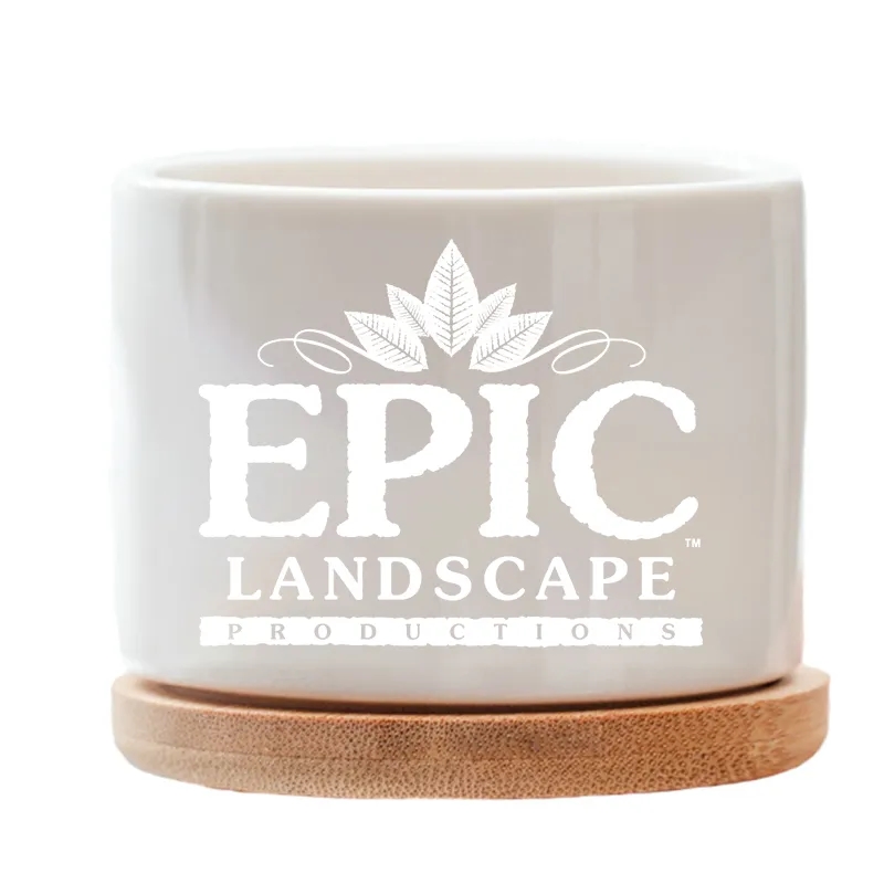 Super Cute Ceramic Plant Pots 2