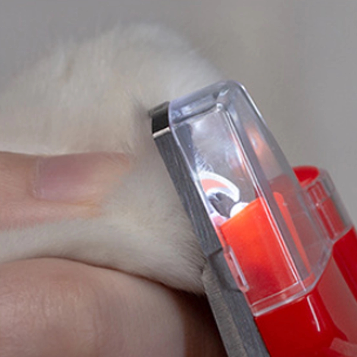 Custom Useful Dogs Cats LED Light Bloodline Pet Nail Clipper 9