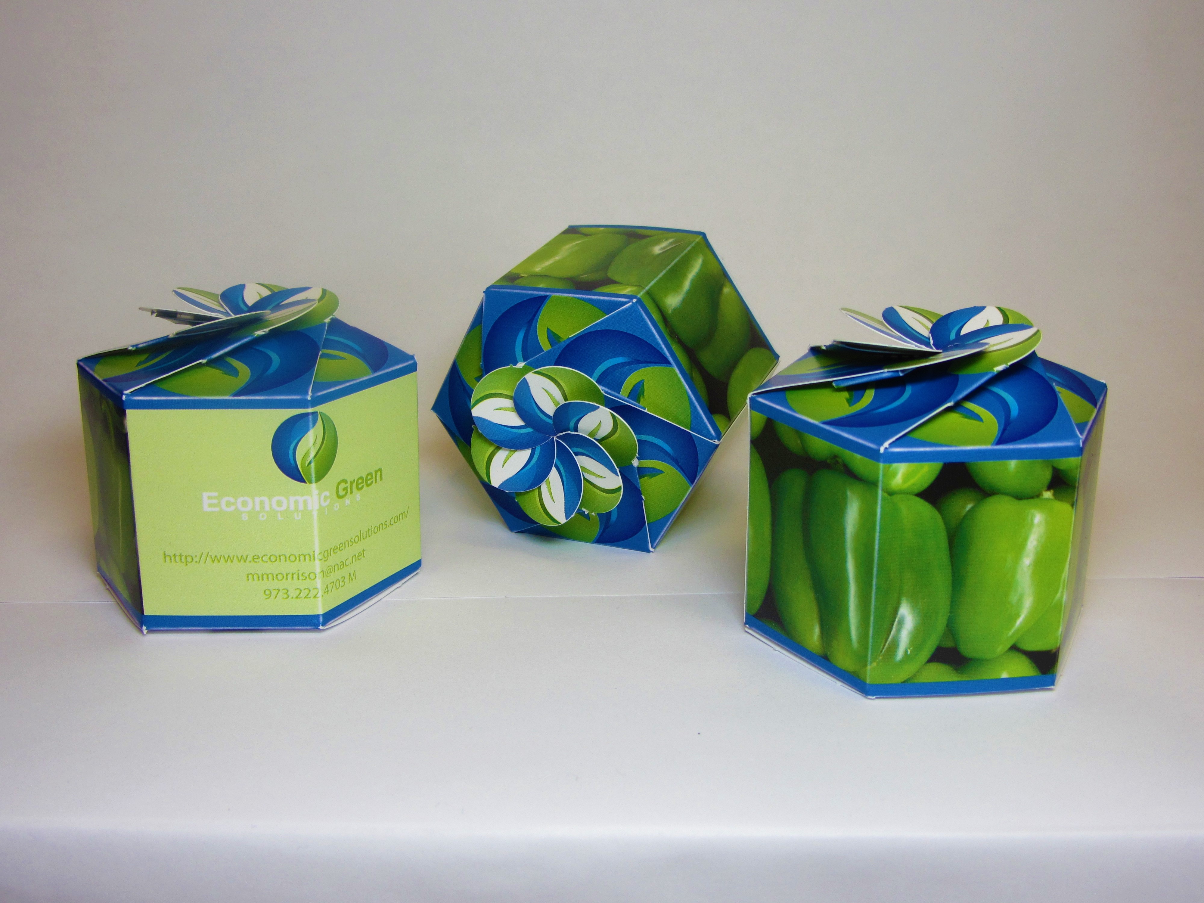 Pepper 'California Wonder' Certified Organic Seeds - SeedGems Paper Planter - Biodegradable grow k 3