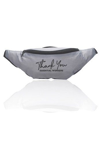 Basic Delsey Polyester Fanny Packs 10