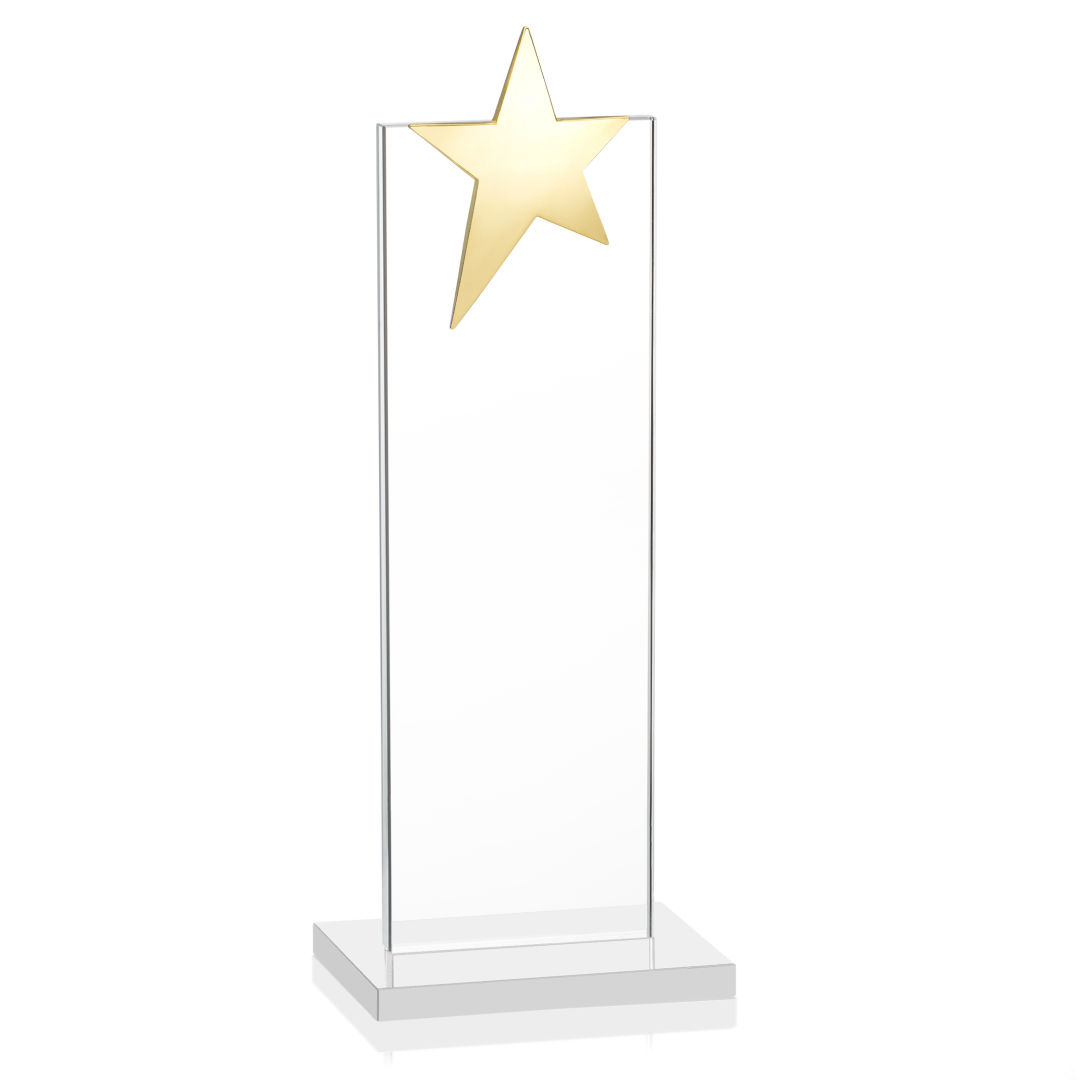 Bryanston Gold Star Award - White 13
