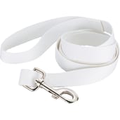 Full Color 1" Wide Premium Pet Leash 19