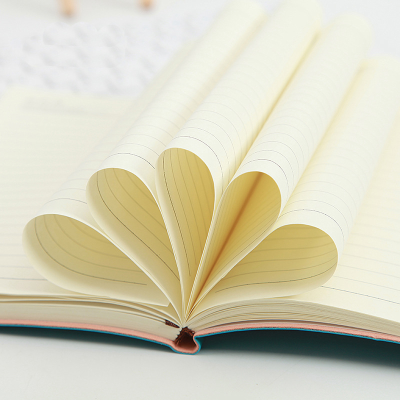 Softbound Pu Leather Journal 2