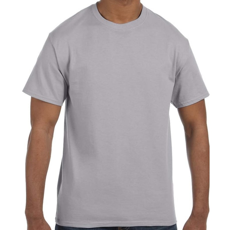 Hanes Men's Authentic-T T-Shirt 79