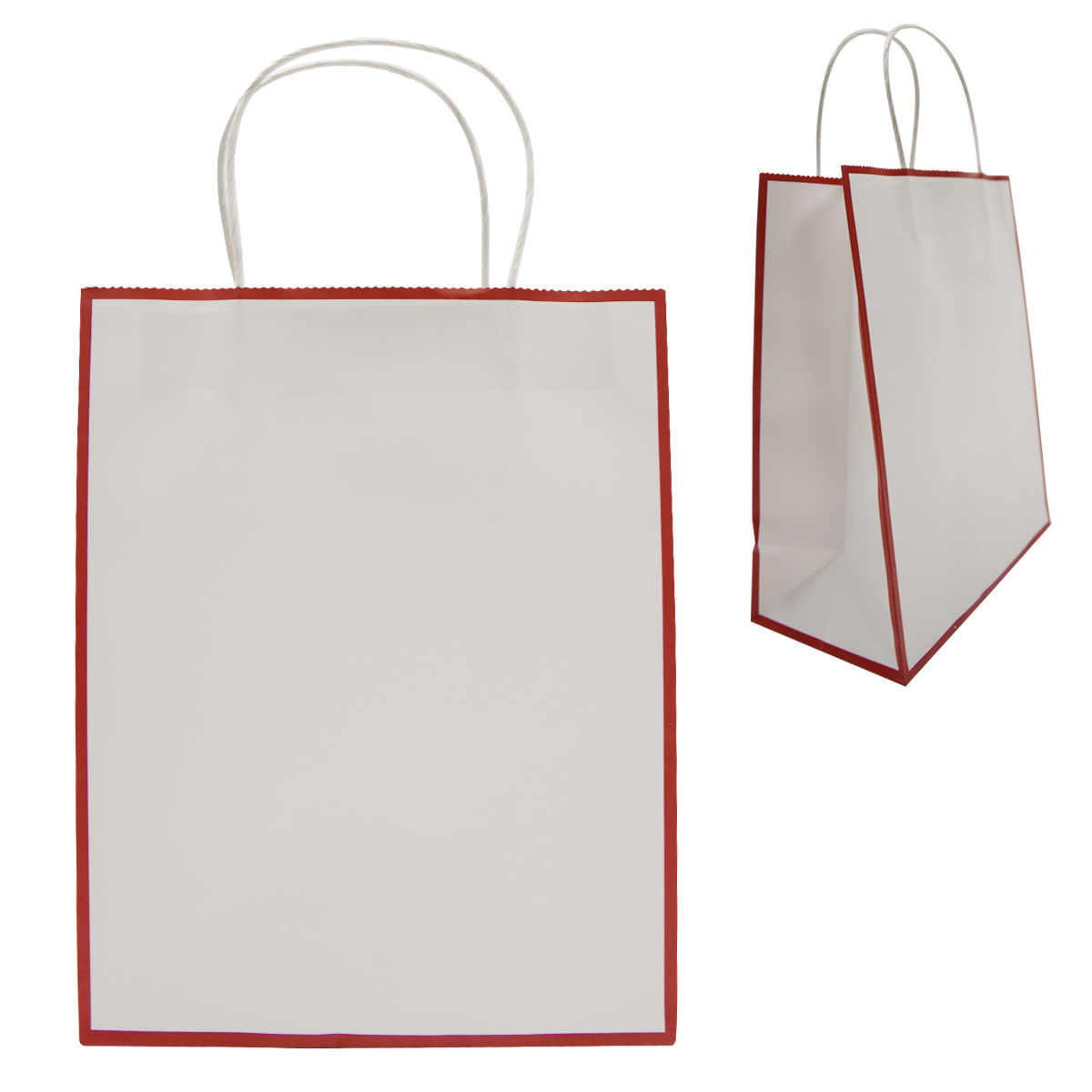 Laminated Paper Gift Bag 3