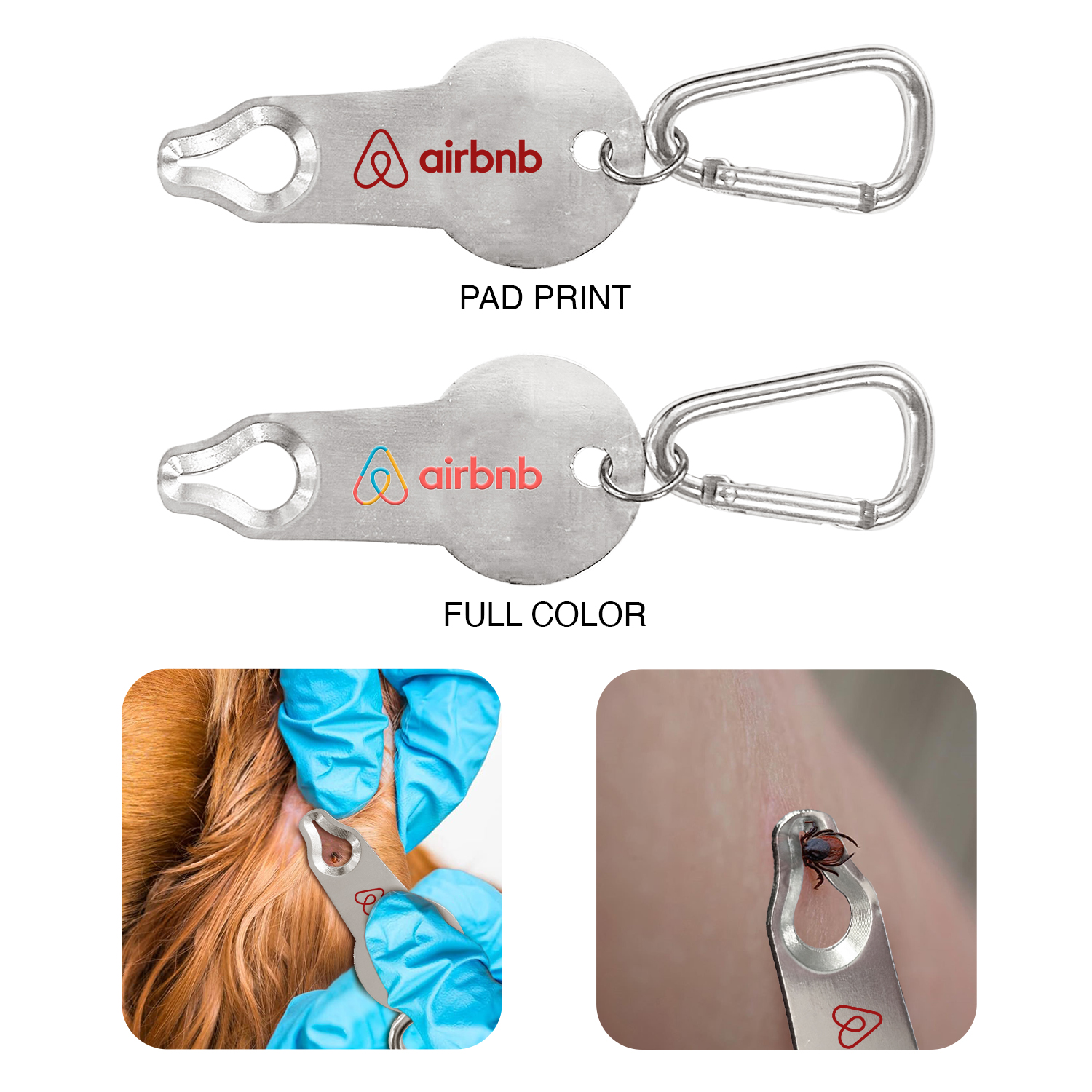 Tick Remover Carabiner 1