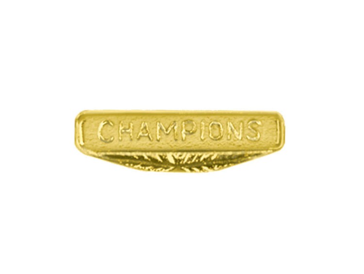 Champions Bright Gold Chenille Lapel Pin
