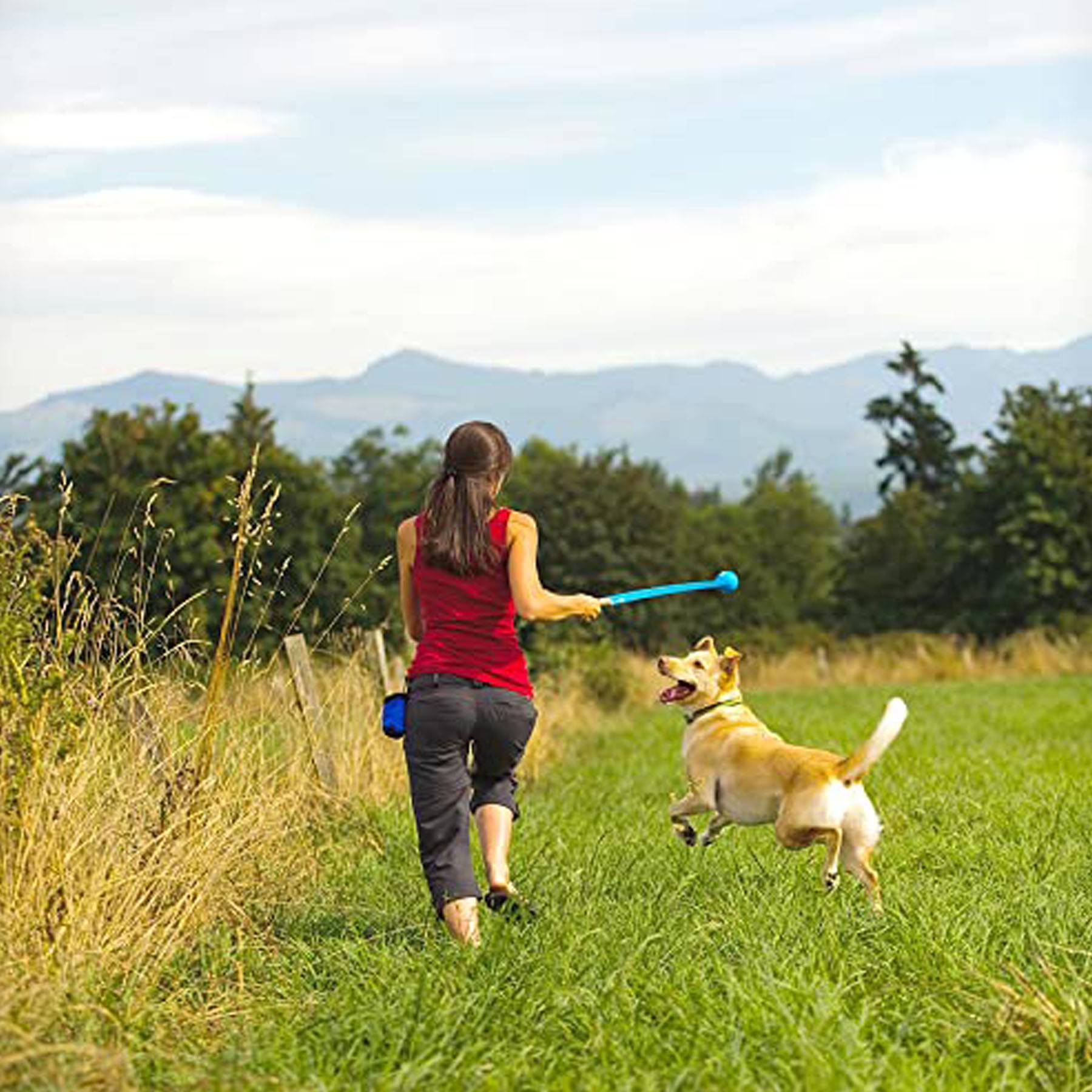 Dog Ball Launcher Pet Toy 6